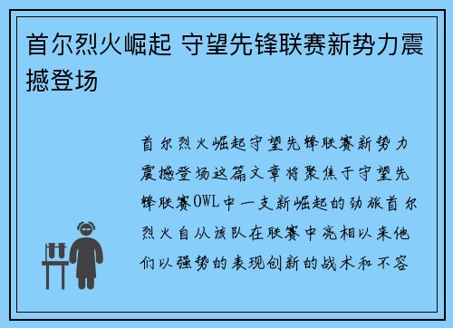 首尔烈火崛起 守望先锋联赛新势力震撼登场