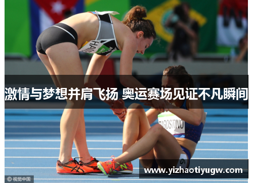 激情与梦想并肩飞扬 奥运赛场见证不凡瞬间